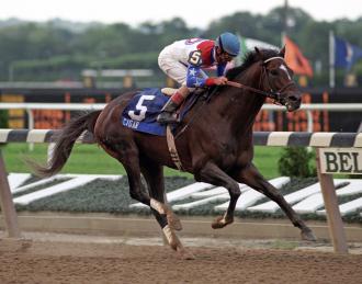 Cigar, two-time Horse of the Year, dies at 24 | Daily Racing Form