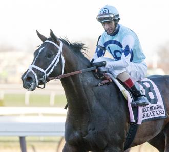 kentucky derby aqueduct verrazano velazquez hopes injured return quick pletcher pleased ahead livingston barbara