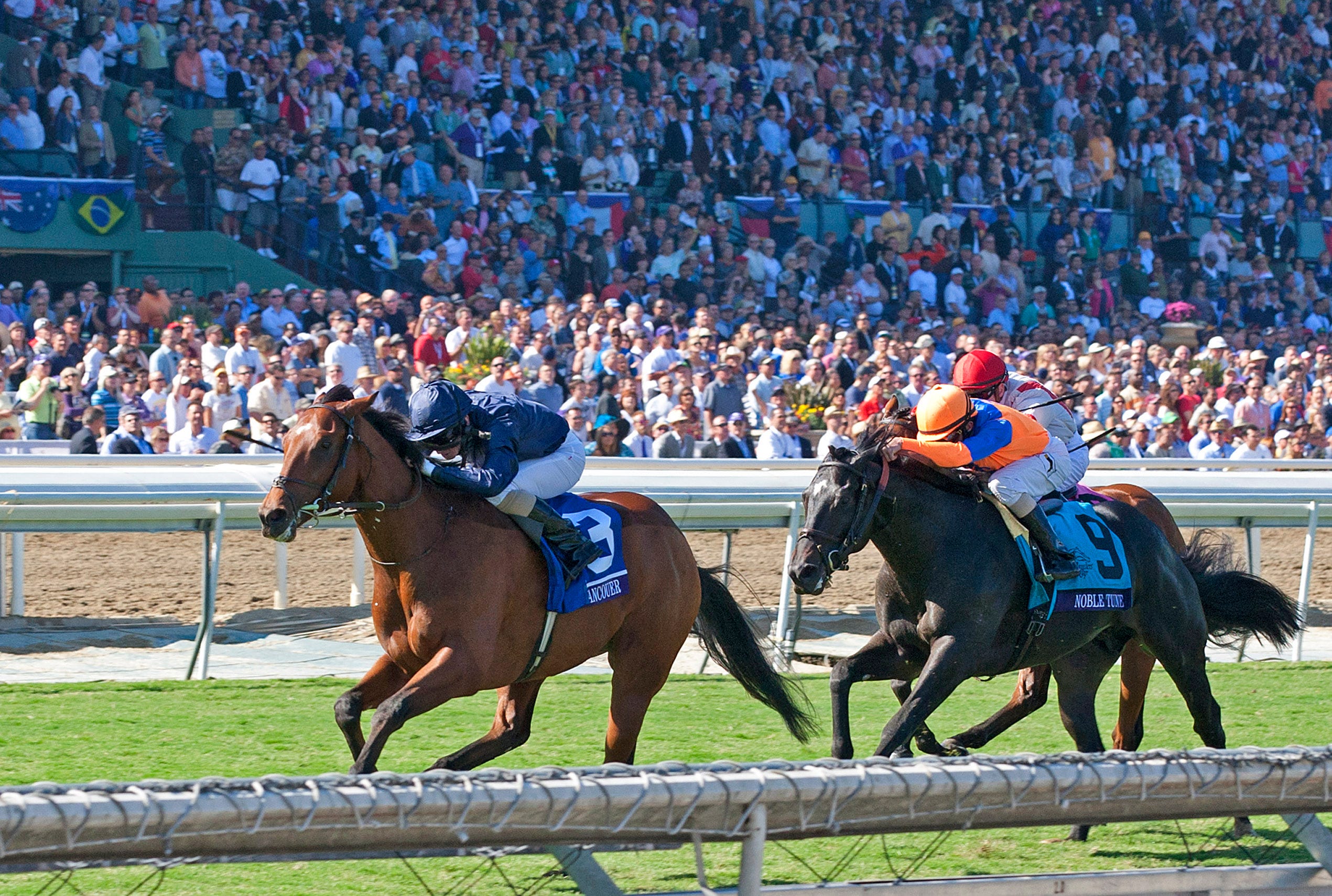The Cup Horse Racing in Vancouver