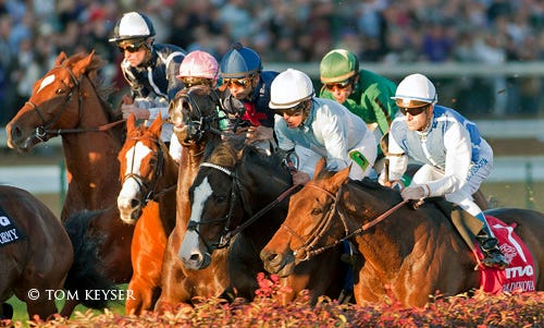 the-2011-breeders-cup-a-photo-album-daily-racing-form