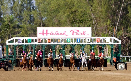 Hialeah Park (cont.) - a photo album from 2010 | Daily Racing Form