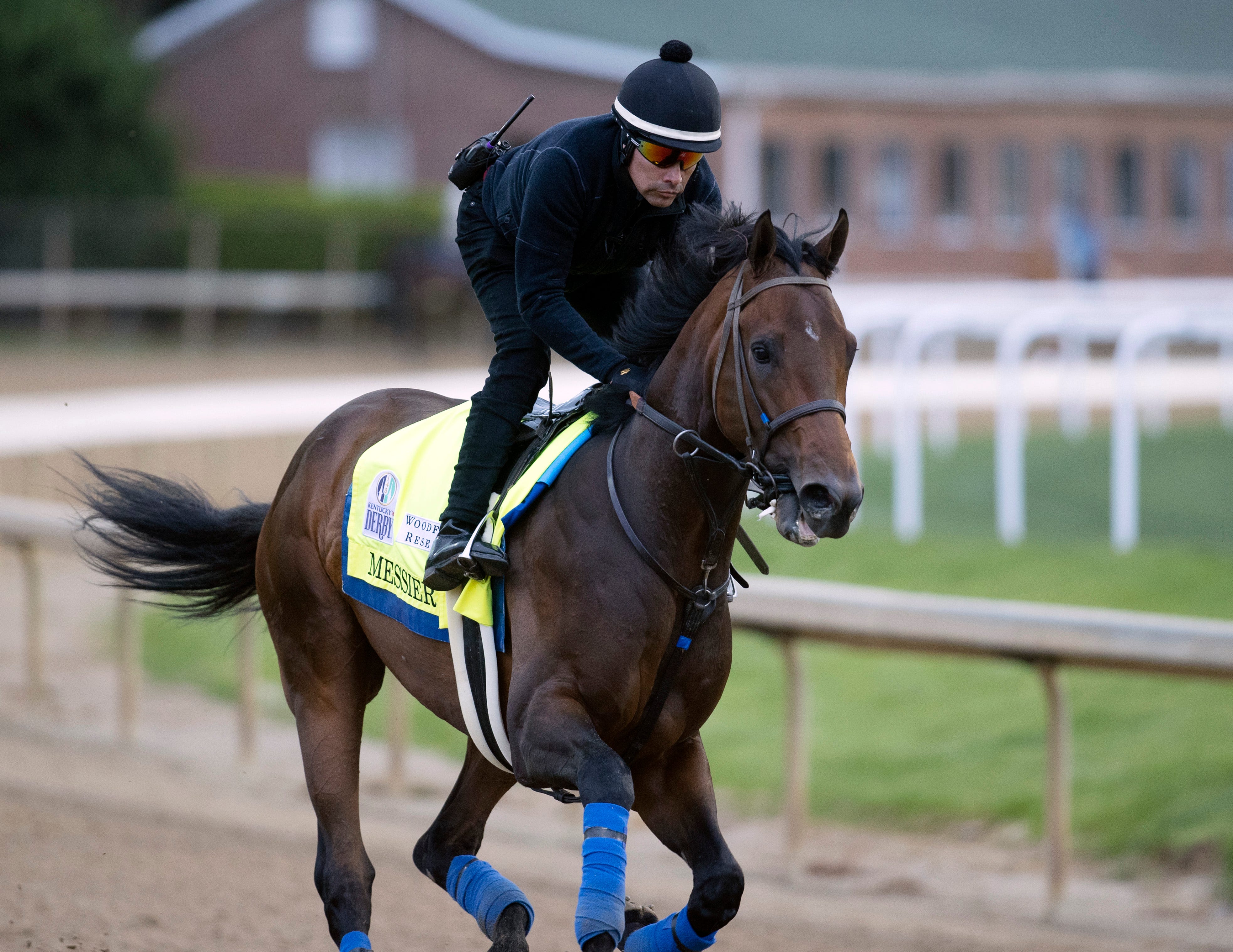 114 slated to go under hammer in Keeneland April horses of racing age sale