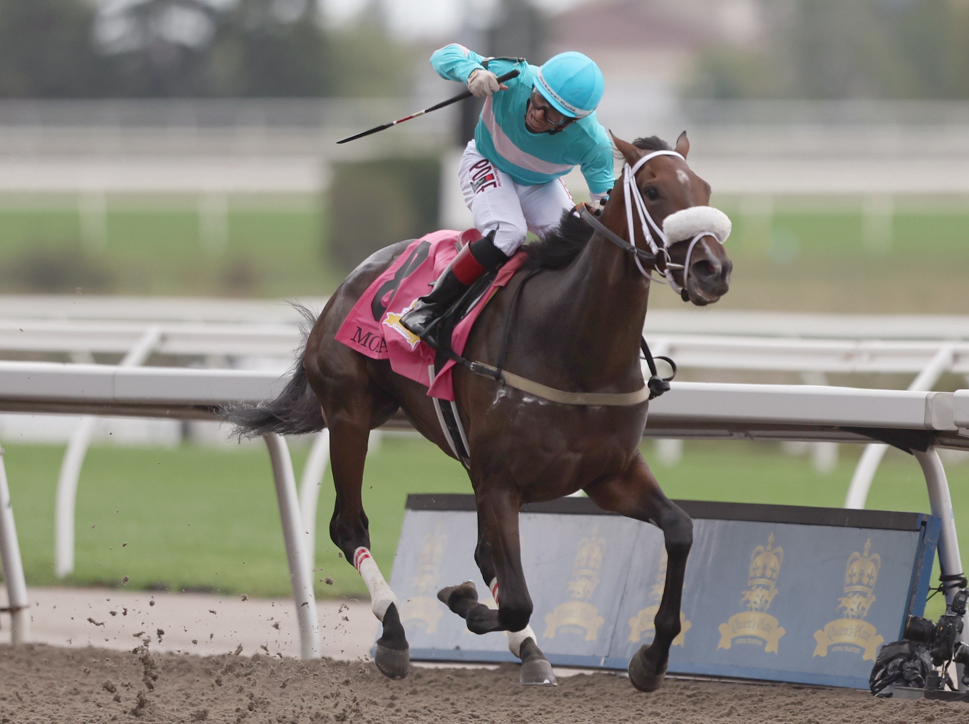 124 nominated to Canadian Triple Crown