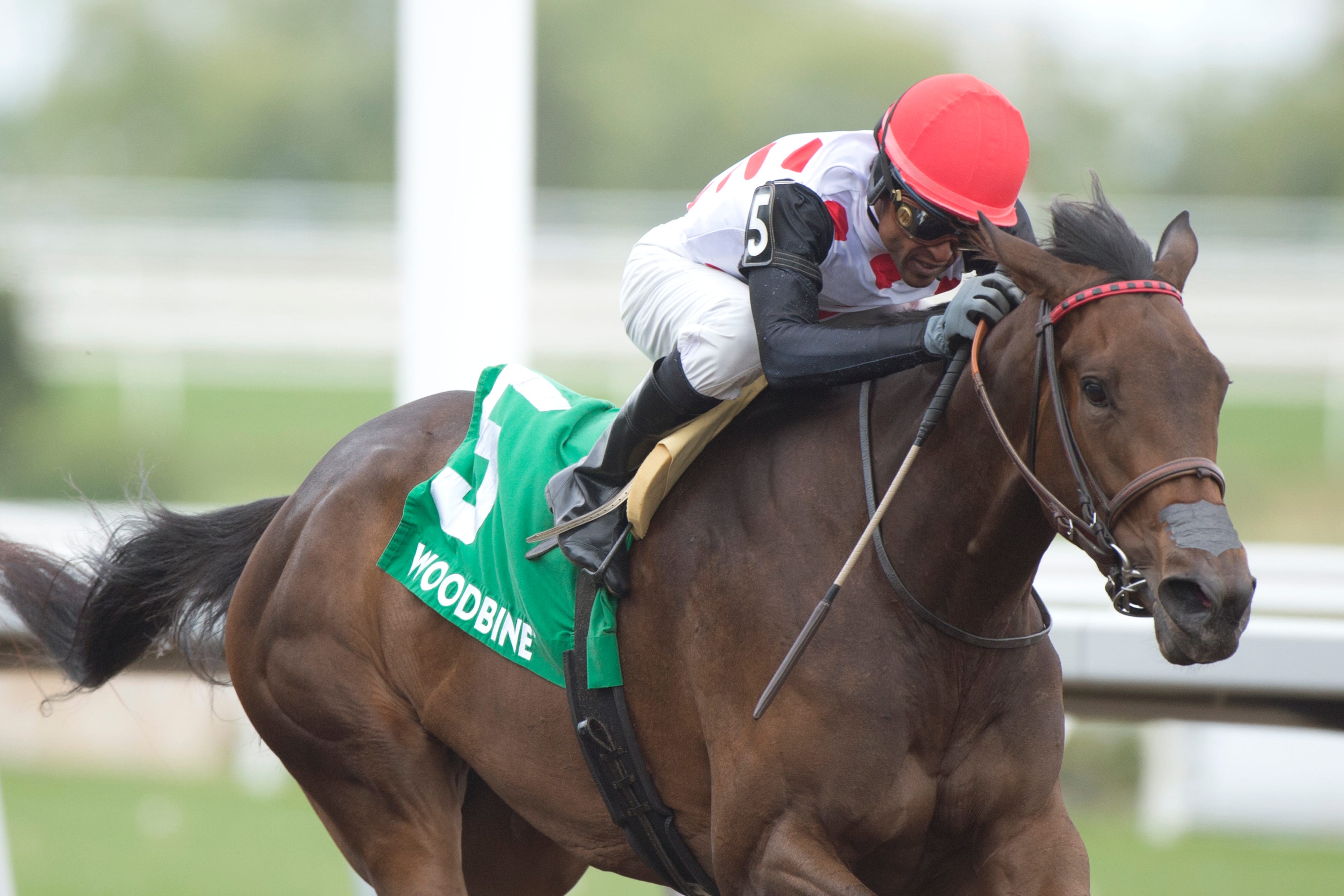 Ryder Ryder Ryder surges past Last Call in Ruling Angel Stakes