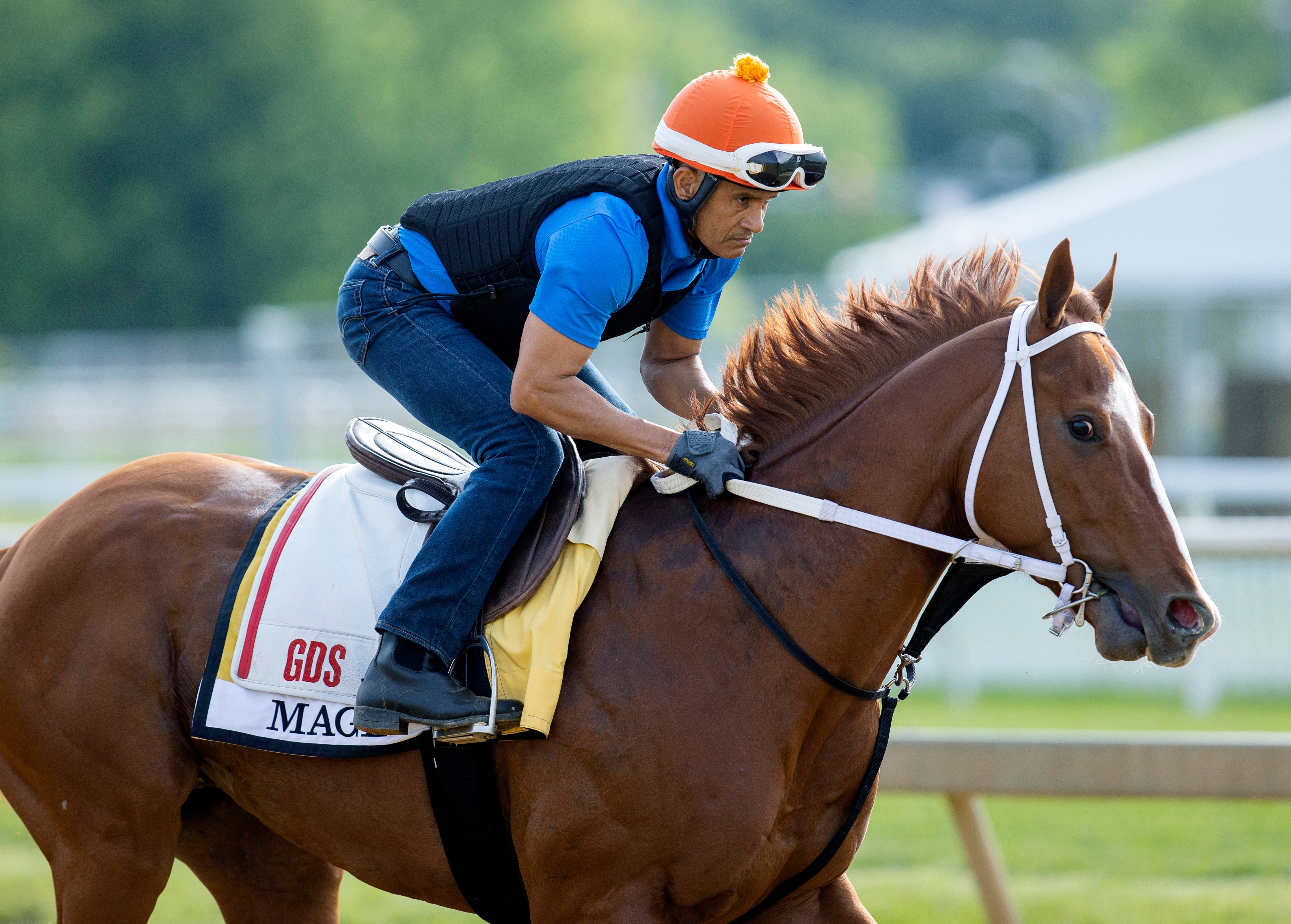 Fair odds for the Preakness Value opportunities in short supply