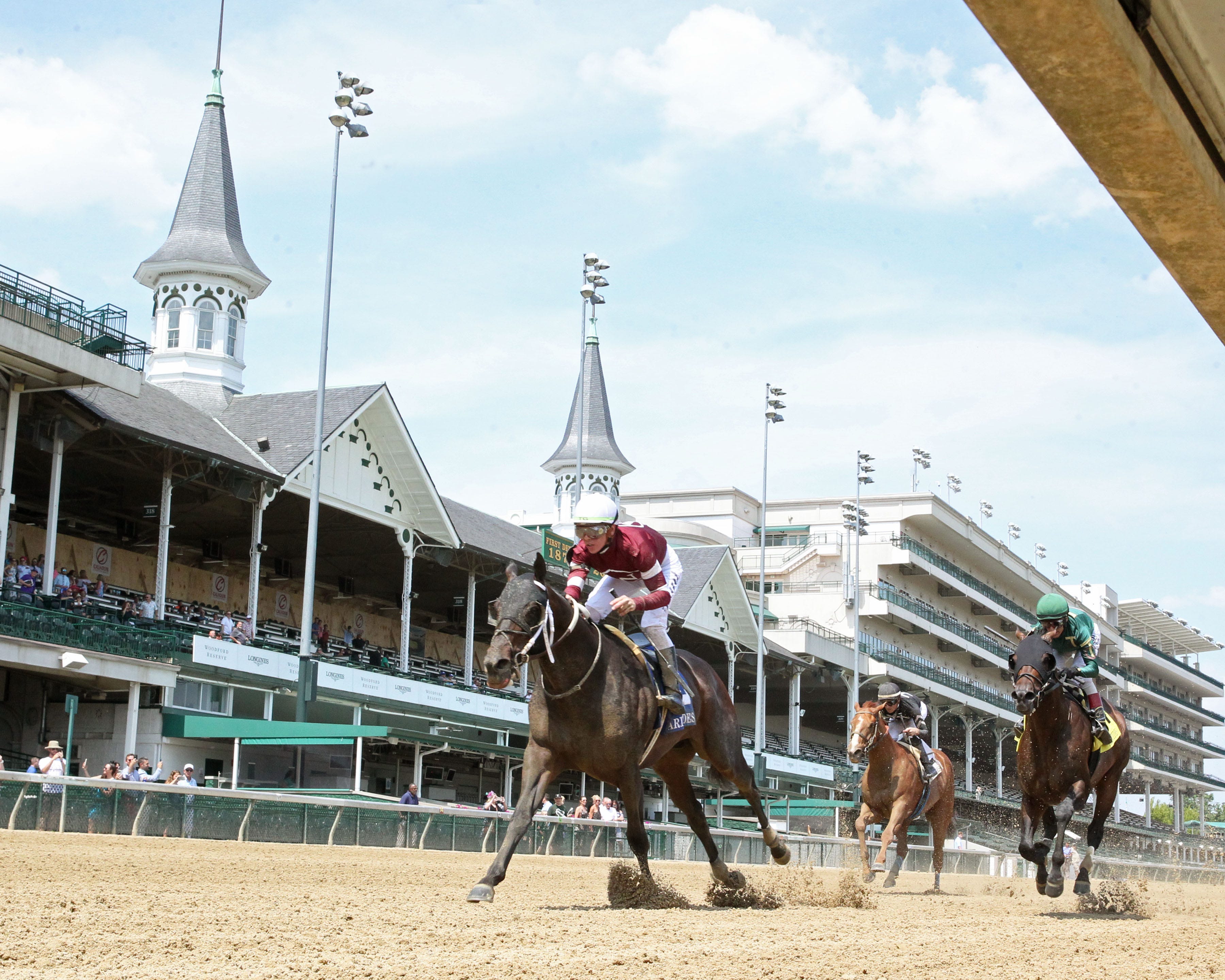 Gunite, Echo Zulu pointing to Saratoga and Breeders' Cup