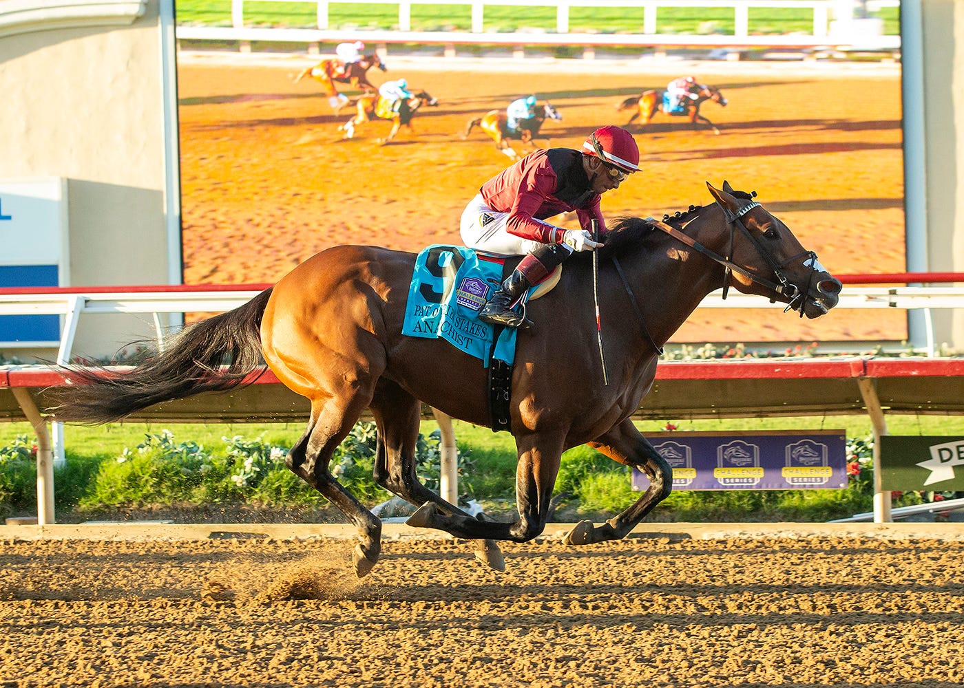 Anarchist punches BC Dirt Mile ticket with Pat O'Brien victory