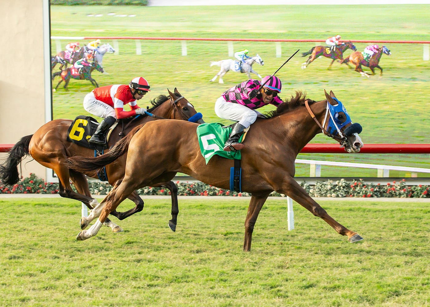 Carmelita's Man runs even better to again win California Dreamin'