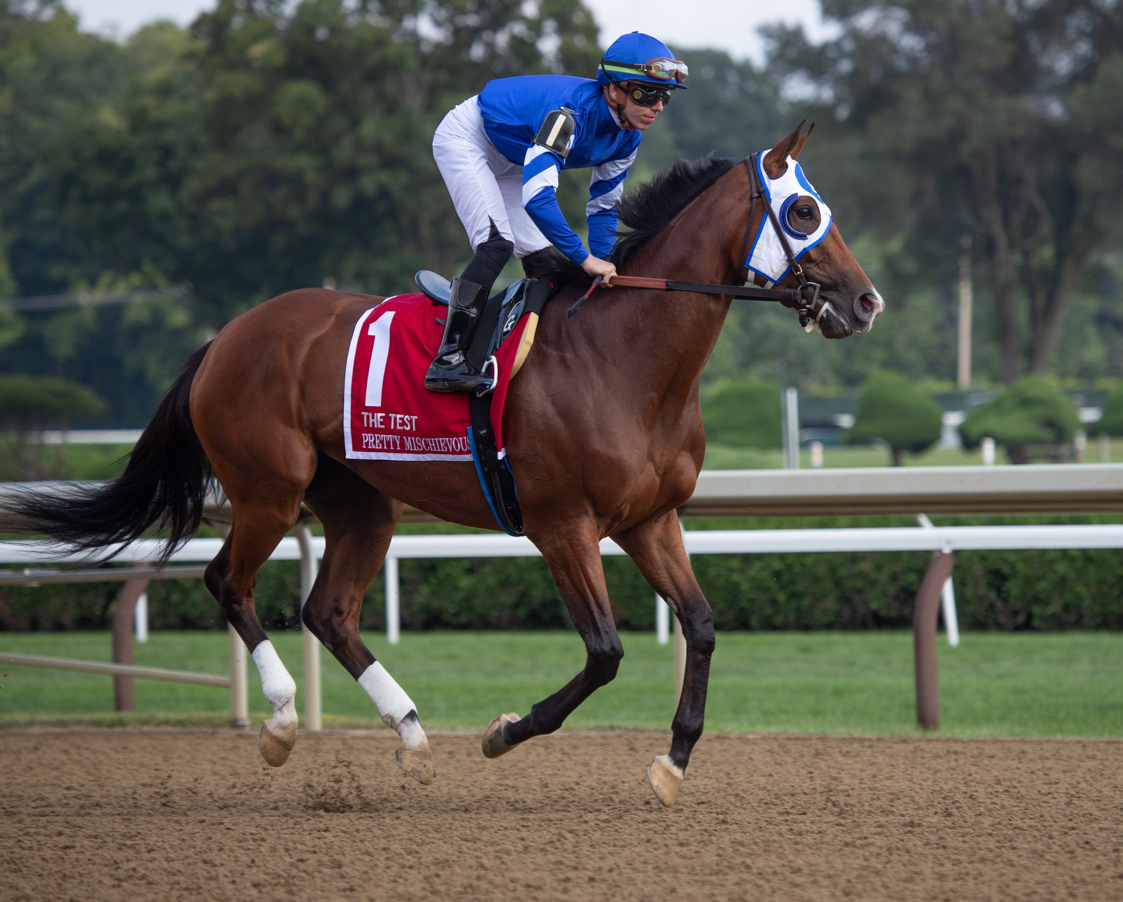 Tragedy at Saratoga: Maple Leaf Mel euthanized after collapsing at wire ...