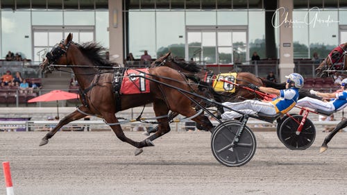 Harrah S Hoosier Park Mitchell S Consistent Duo Aims For Crown Success