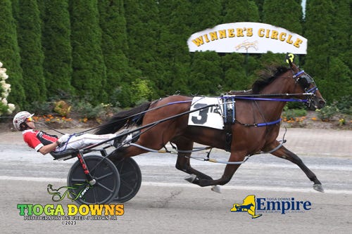 Tioga: Twin B Joe Fresh Leads Empire Breeders Classic Winners