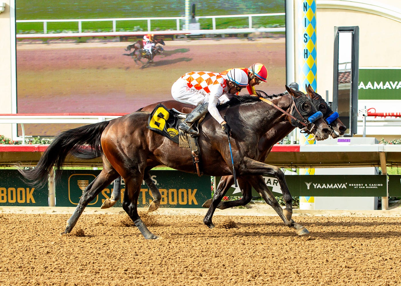 Mr Fisk catches Tahoe Sunrise at wire for dead heat in Shared Belief Stakes