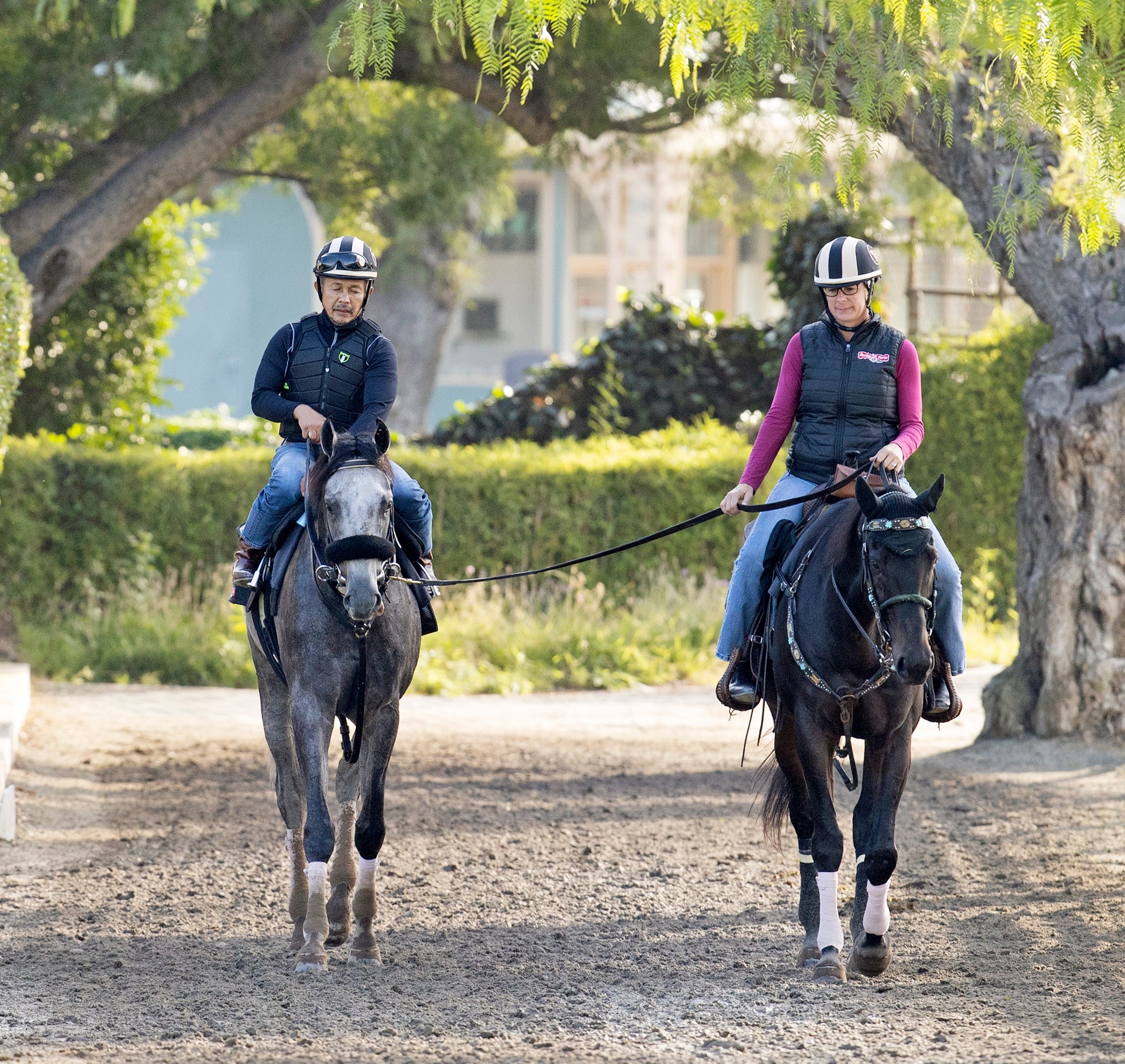 Arcangelo scratches from Breeders' Cup Classic, retired from racing