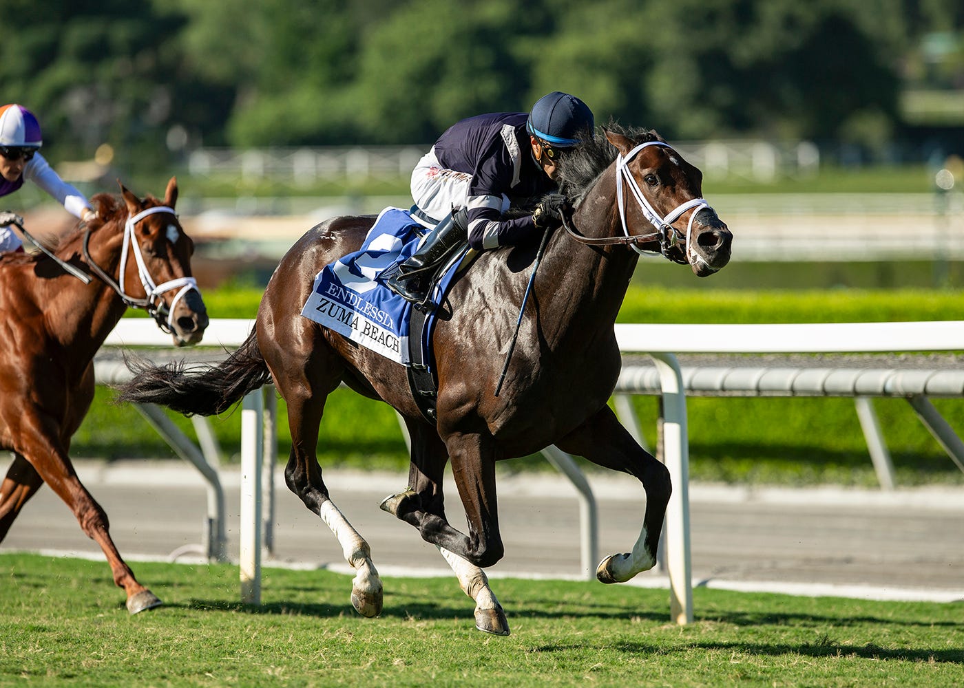 Breeders' Cup Juvenile Turf Endlessly continues to improve