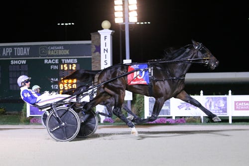 breeders-crown-tactical-approach-rallies-to-take-3-year-old-colt-trot