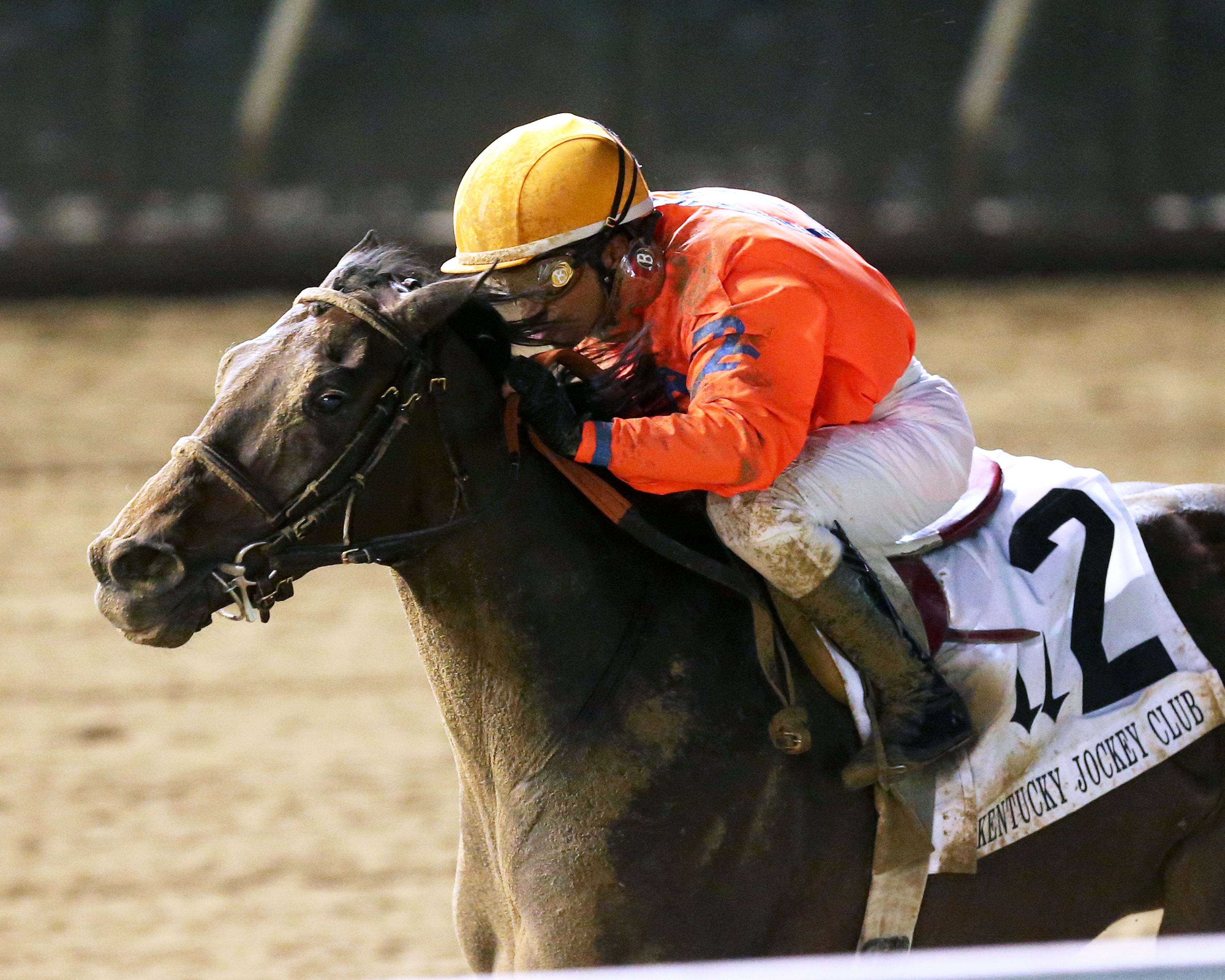 G1 winner In Love returns to Turfway for Dust Commander - Kentucky  Horsemen's Benevolent and Protective Association