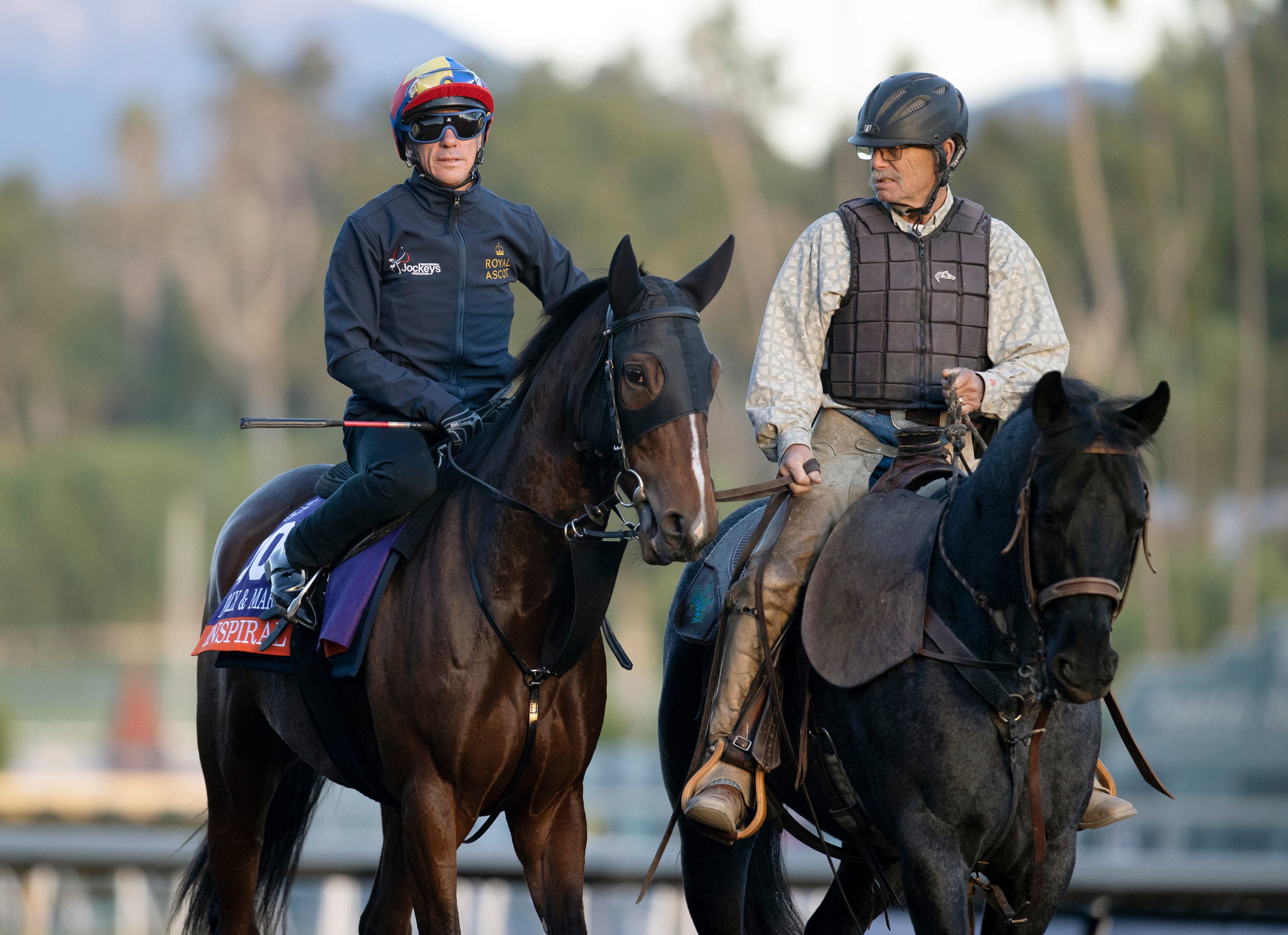 Breeders Cup International runners figure to have say in many races