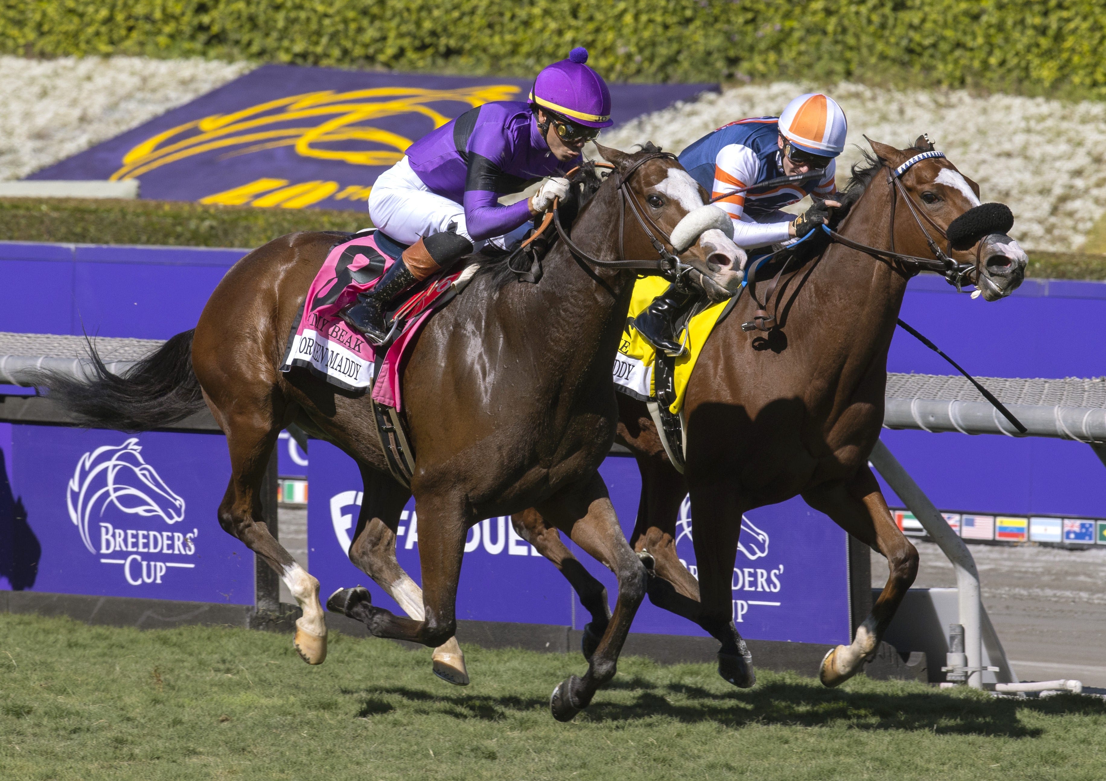 Wet My Beak's late burst nails Elm Drive on wire in Sen. Ken Maddy Stakes