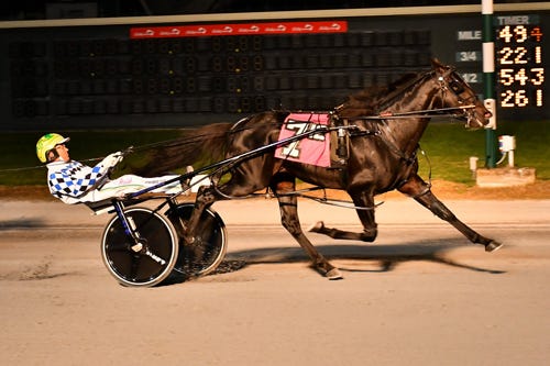 Dover: Confederate, Twin B Joe Fresh Shine In Matron 3YO Paces