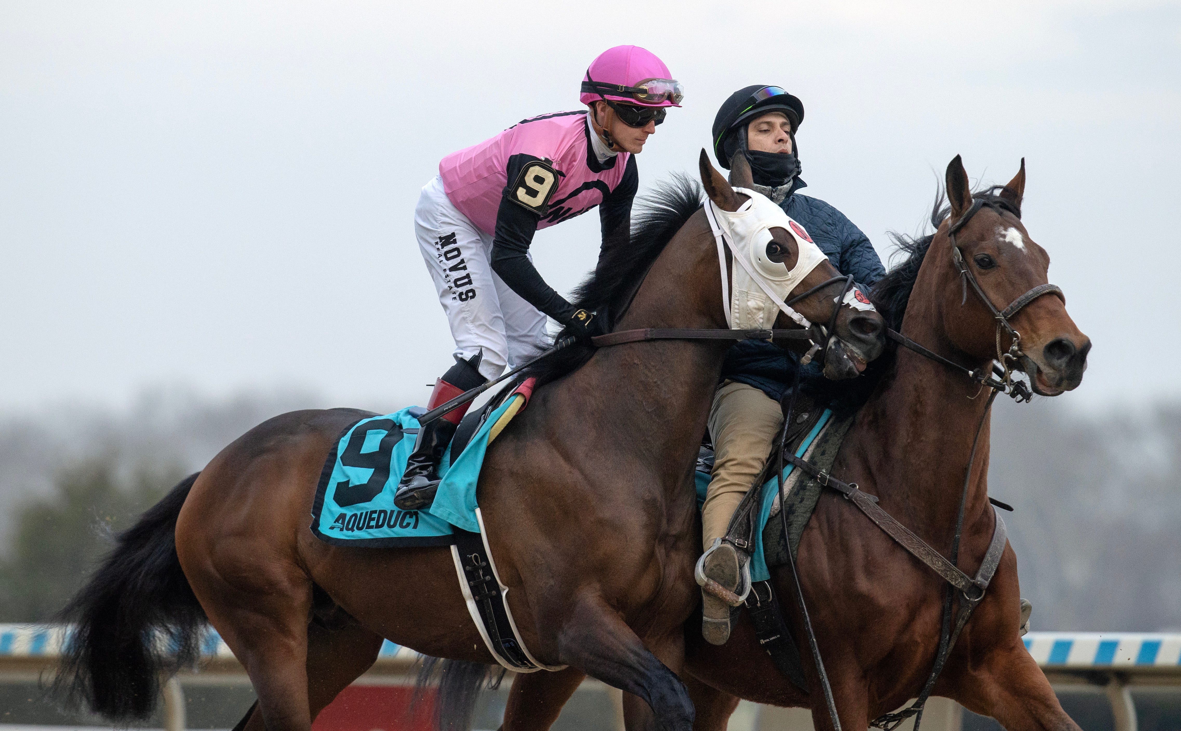 Pegasus World Cup: Castle Chaos on the outside looking in