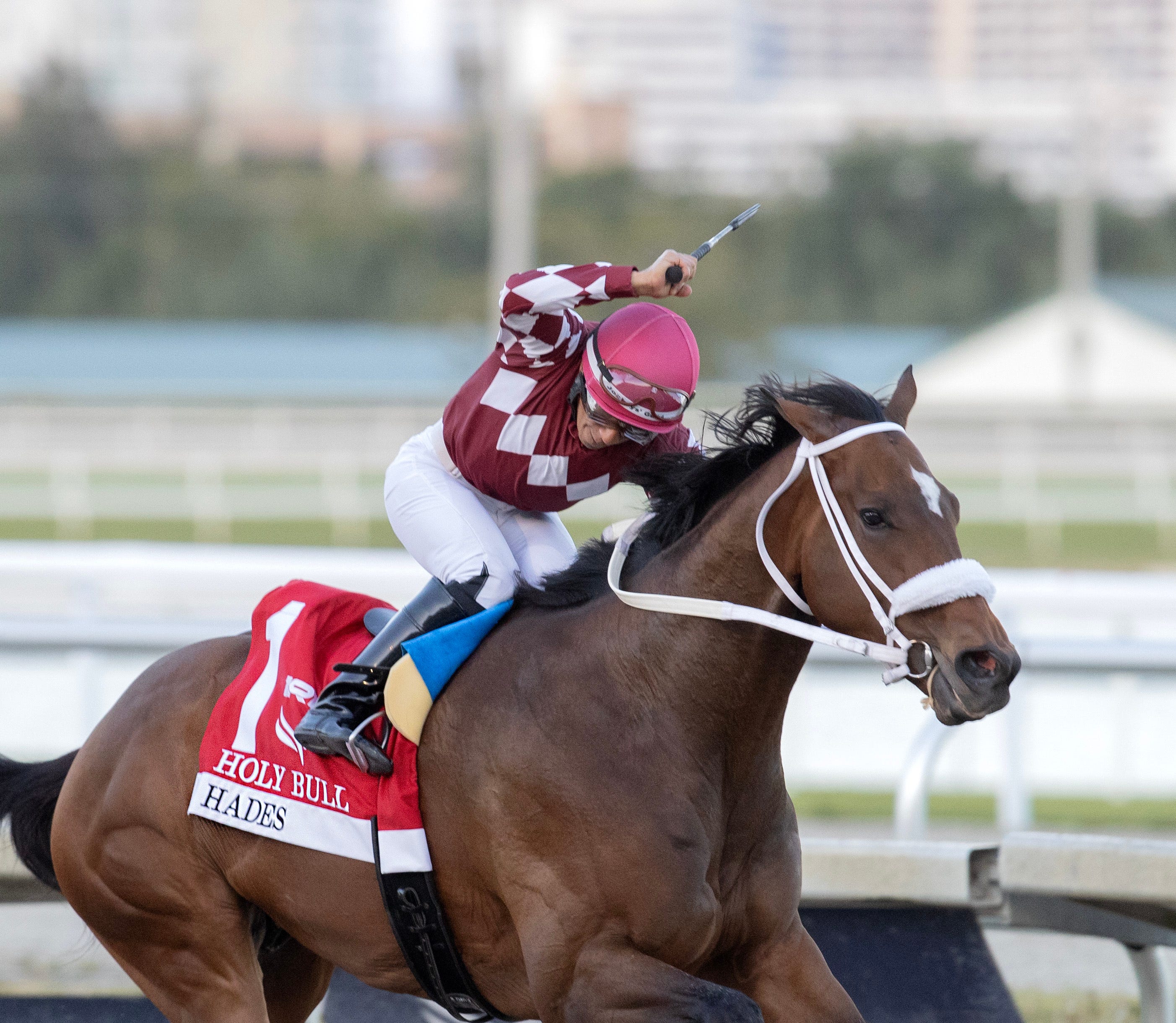 Fierceness, Hades Gets In Final Florida Derby Works