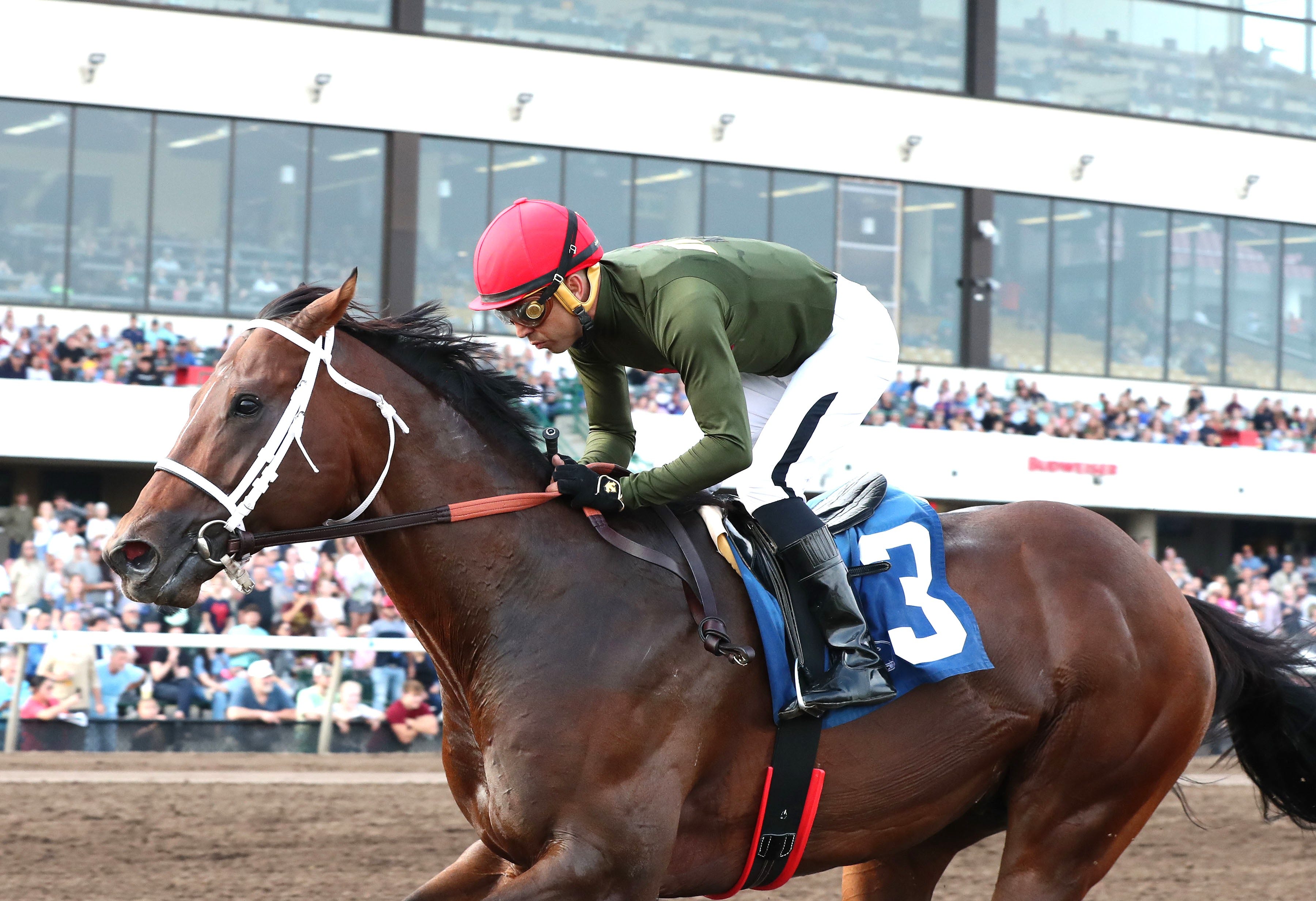 Horse of the meet Doctor Oscar back with statebreds in 10,000 Lakes