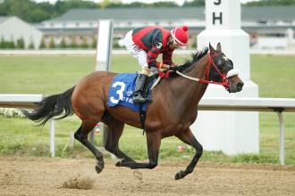 Dougie D Oro repeats in Best of Ohio Honey Jay Stakes