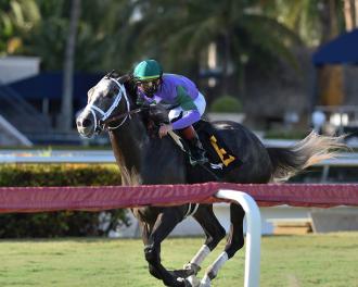 Pegasus World Cup 2021 Daily Racing Form