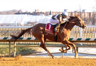 laurel park daily racing form