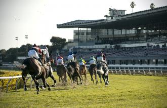 Turf racing at Golden Gate Fields