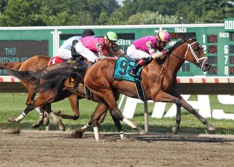 delaware park horse racing odds