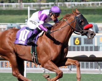 Sircat Sally looks to end season strong in Soviet Problem Stakes ...