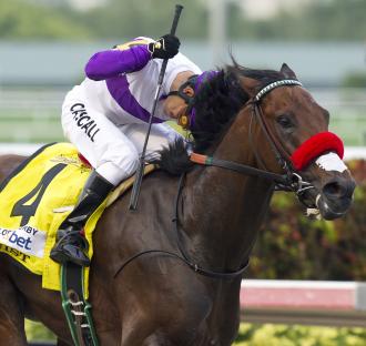 Nyquist solidifies status as Kentucky Derby favorite by winning Florida ...