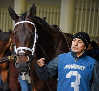 Off Topic at Aqueduct Racetrack in April 2019