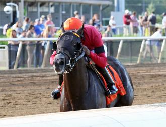 Pirate's Punch wins an Aug. 3 allowance at Indiana Grand