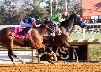 Laurel Park Daily Racing Form