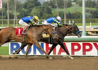 Kentucky Derby: Baffert runners must be transferred by Feb. 28 to earn qualifying points