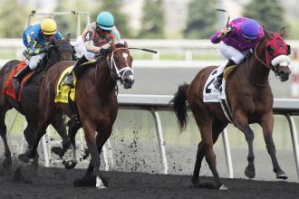 Super Colerosa among eight set for turf debuts in Bold Ruckus