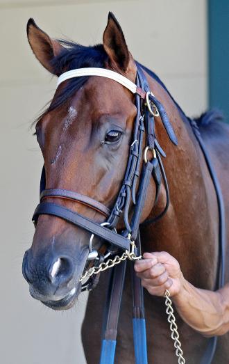 Del Mar: Import Suggestive Boy looks tough in Wickerr