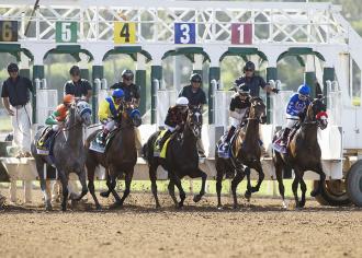 California Sees Decline In Equine Fatalities