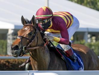 Pegasus World Cup 2021 Daily Racing Form