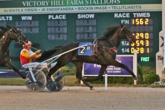 Harrah’s Hoosier Park:  Rookie male trotters tussle in Indiana Sires Stakes