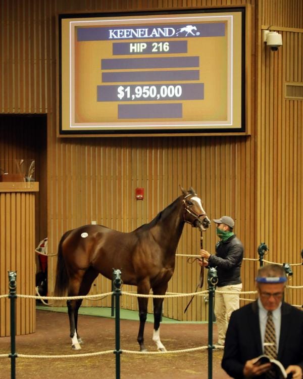 Keeneland November Sale Ends With Improved Buyback Rate Strong Internet Bidding