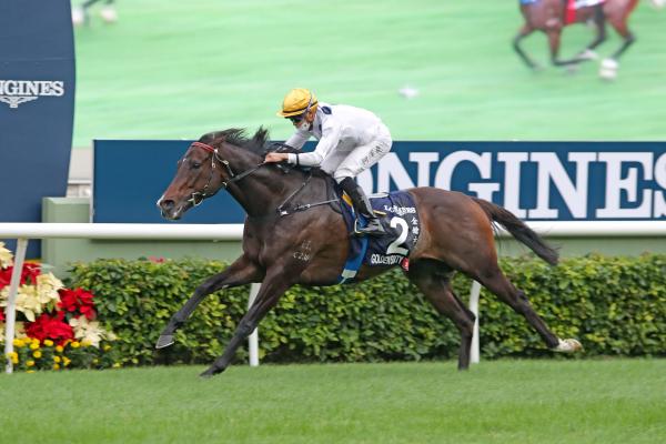 hong kong savaquin could get help from stablemate in happy valley feature