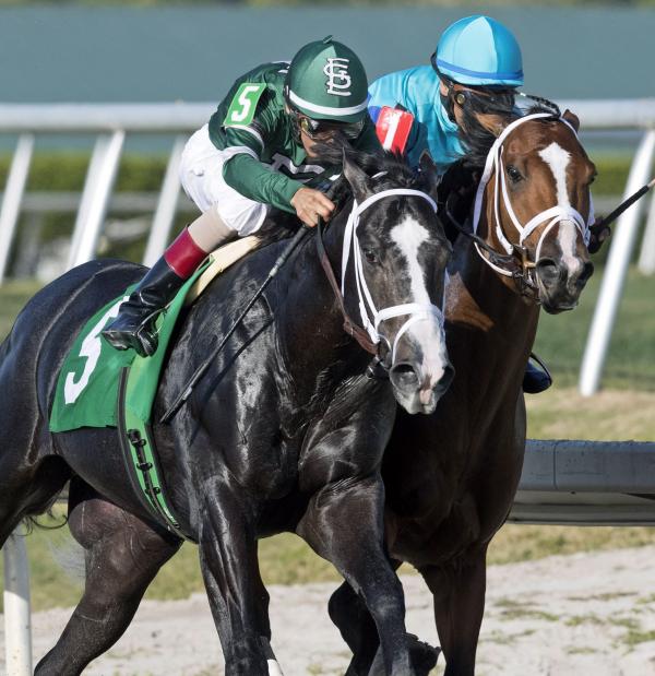 Kentucky Derby 2010 Chart