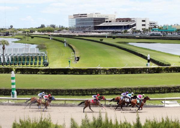 Stronach Opens First Gulfstream Park West Meet