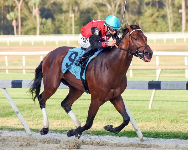 Candy Man Rocket Among 12 Expected For Tampa Bay Derby