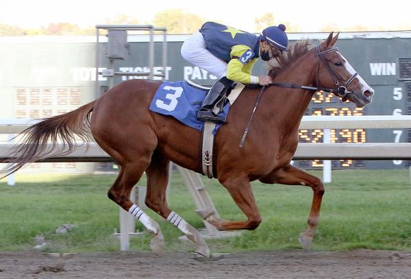 Clean Trip Would Give Cinnabunny Big Shot In Inside Information