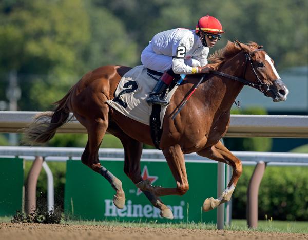 Classic Causeway tops deep cast of 14 in Kentucky Jockey Club Stakes