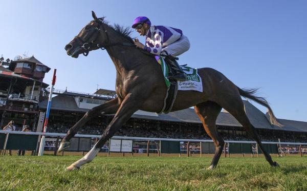 Concrete Rose Indian Miss Lead The Way At Opening Session Of Keeneland November Mixed Sale